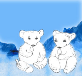 To isbjørne - illustration