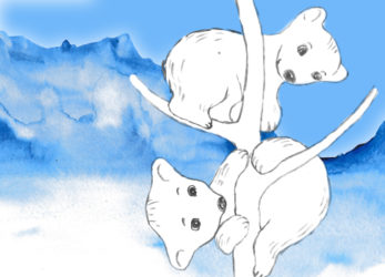 To isbjørne - illustration